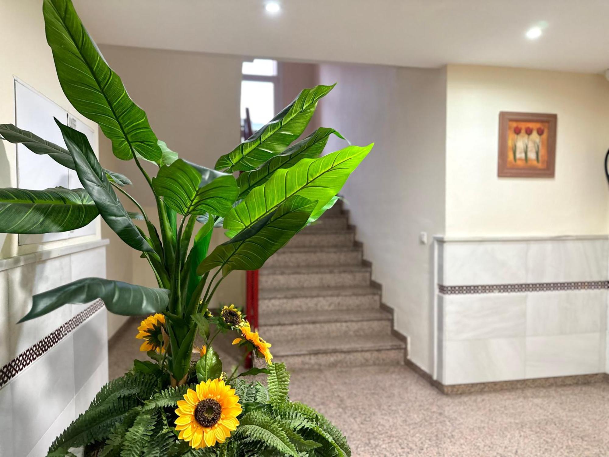 Studio In Costa Del Sol, Sea, Sunshine & Views Fuengirola Εξωτερικό φωτογραφία